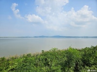 충청남도 누리집(홈페이지)