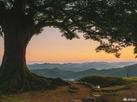 전체기사 - 충청남도 누리집(홈페이지) 충청남도 누리집(홈페이지)