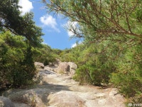 충청남도 누리집(홈페이지)