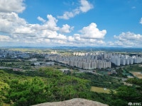 충청남도 누리집(홈페이지)