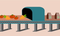 Starting a Meal Kit | @KellyMurphy6625 | Flipboard
