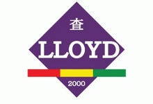 [(주)로이디컬] 재물손해사정팀원(화재,누수)을 채용합니다 - 사람인