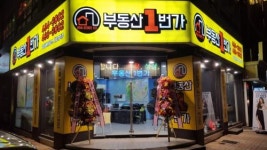 [부동산1번가공인중개사무소] (자격증자/초보가능) 부동산 임대/매매 직원 모집 - 사람인