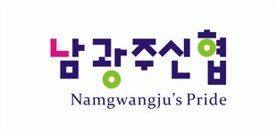 남광주신용협동조합 2015년 재무정보 | 매출액 73억 1,378만원 영업이익, 자본금, 공시정보 등 - 사람인 남광주신용협동조합 2015년... 