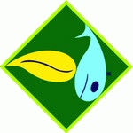 신상록수운동연합 2026년 기업정보 | 직원수, 근무환경, 복리후생 등 - 사람인 신상록수운동연합 2026년 기업정보 | 직원수, 매출액, 복리후생... 