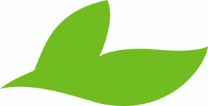 (주)그린바이오텍 2022년 재무정보 | 매출액 9억 3,408만원 영업이익, 자본금, 공시정보 등 - 사람인 (주)그린바이오텍 2022년 재무정보... 