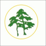 청송지물상사 2018년 재무정보 | 매출액 7억 1,581만원 영업이익, 자본금, 공시정보 등 - 사람인 청송지물상사 2018년 재무정보 | 매출액  7억... 