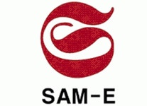 삼이홀딩스(주) 2021년 재무정보 | 영업이익, 자본금, 공시정보 등 - 사람인