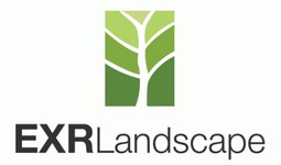 뿌리깊은나무(주) 2026년 재무정보 | 영업이익, 자본금, 공시정보 등 - 사람인