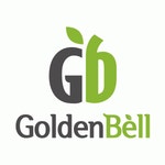 골든벨통상(주) 2024년 재무정보 | 매출액 246억 8,767만원 영업이익, 자본금, 공시정보 등 - 사람인 골든벨통상(주) 2024년 재무정보... 