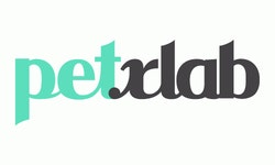 (주)펫슬랩 2025년 기업정보 | 직원수, 근무환경, 복리후생 등 - 사람인 (주)펫슬랩 2025년 기업정보 | 직원수, 매출액, 복리후생 등 - 사람인