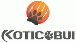 (주)코티코비 2023년 재무정보 | 매출액 1억 2,289만원 영업이익... 사람인 (주)코티코비 2023년 재무정보 | 매출액  1억 2,289만원 영업이익... 