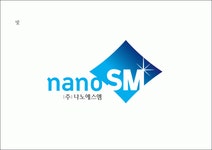 (주)나노에스엠 2021년 재무정보 | 매출액 45억 2,812만원 영업이익, 자본금, 공시정보 등 - 사람인 (주)나노에스엠 2021년 재무정보 | 매출액... 