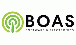 (주)보아스에스이 2024년 재무정보 | 매출액 14억 7,787만원 영업이익, 자본금, 공시정보 등 - 사람인 (주)보아스에스이 2024년 재무정보... 