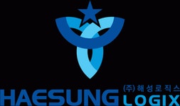 (주)해성로직스 연봉정보 | 평균연봉, 직급별 연봉 등 - 사람인