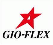 (주)지오플렉스 연봉정보 | 평균연봉, 직급별 연봉 등 - 사람인