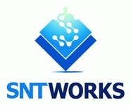 (주)에스엔티웍스 연봉정보 | 평균연봉, 직급별 연봉 등 - 사람인