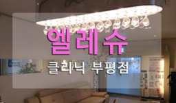 [엘레슈의원] 개인병원 (피부과) 청소·미화 이모님 1명 모집 - 사람인