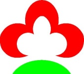 세움종합건설(주) 2024년 재무정보 | 매출액 470억 5,916만원... 사람인 세움종합건설(주) 2024년 재무정보 | 매출액  470억 5,916만원 영업이익... 