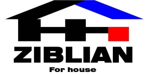 (주)지블리안 2022년 재무정보 | 매출액 6억 9,463만원 영업이익, 자본금, 공시정보 등 - 사람인 (주)지블리안 2022년 재무정보 | 매출액  6억 9... 