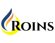 (주)로인스 연봉정보 | 평균연봉, 직급별 연봉 등 - 사람인