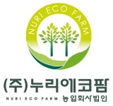 (주)누리에코팜 농업회사법인 2022년 재무정보 | 매출액 1억 6,309만원 영업이익, 자본금, 공시정보 등 - 사람인 (주)누리에코팜... 