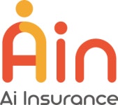 (주)인카에인스 2019년 재무정보 | 매출액 300만원 영업이익, 자본금, 공시정보 등 - 사람인 (주)인카에인스 2019년 재무정보 | 매출액  300만원... 