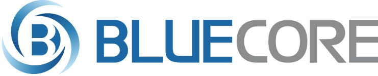 (주)블루코어컴퍼니 2024년 재무정보 | 매출액 127억 1,749만원 영업이익, 자본금, 공시정보 등 - 사람인 (주)블루코어컴퍼니 2024년... 