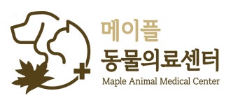 [메이플동물의료센터] [강동/미사/하남] 메이플동물의료센터 수의테크니션 모집 - 사람인