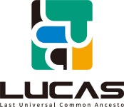 (주)루카스 2026년 기업정보 | 직원수, 근무환경, 복리후생 등 - 사람인 (주)루카스 2026년 기업정보 | 직원수, 매출액, 복리후생 등 - 사람인