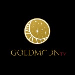 [골드문인베스트먼트] 주식증권방송 애널리스트 및 전문가후보생 추가모집 - 사람인