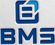 비엠에스 (BMS) 2026년 기업정보 | 직원수, 근무환경, 복리후생 등 - 사람인 비엠에스 (BMS) 2026년 기업정보 | 직원수, 매출액, 복리후생 등... 