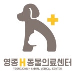 영종H동물의료센터 직무리포트 | 2025년 합격전략, 역량체크, 멘토링 등 - 사람인