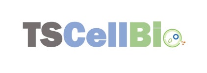 (주)티에스셀바이오 2026년 기업정보 | 직원수, 근무환경, 복리후생 등 - 사람인 (주)티에스셀바이오 2026년 기업정보 | 직원수, 매출액... 