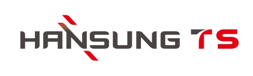 한성티에스(주) 2024년 재무정보 | 매출액 33억 9,956만원 영업이익, 자본금, 공시정보 등 - 사람인 한성티에스(주) 2024년 재무정보 | 매출액... 