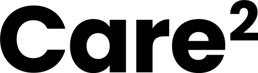 (주)케어스퀘어 2024년 재무정보 | 매출액 3억 8,998만원 영업이익, 자본금, 공시정보 등 - 사람인 (주)케어스퀘어 2024년 재무정보 | 매출액... 