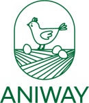 애니웨이 2026년 기업정보 | 직원수, 근무환경, 복리후생 등 - 사람인 애니웨이 2026년 기업정보 | 직원수, 매출액, 복리후생 등 - 사람인