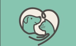 주식회사 애니멀데이 2025년 기업정보 | 직원수, 근무환경, 복리후생 등 - 사람인 주식회사 애니멀데이 2025년 기업정보 | 직원수, 매출액... 