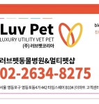 [러브펫동물병원&멀티펫샵] 타임스퀘어 러브펫동물병원에서 수의간호사를 구인합니다. - 사람인