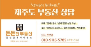 든든한공인중개사사무소 2026년 기업정보 | 직원수, 근무환경, 복리후생 등 - 사람인 든든한공인중개사사무소 2026년 기업정보 | 직원수... 