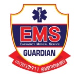 [주식회사가디언911응급환자이송센터] [경력무관] 간호사/응급구조사 정규직 채용 - 사람인