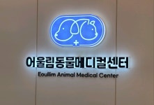 어울림동물메디컬센터 채용 | 2025년 진행 중인 공고 - 사람인 어울림동물메디컬센터  채용 | 2025년 진행 중인 공고  - 사람인