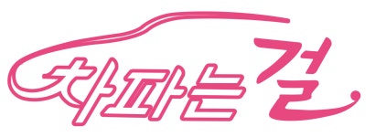 (주)에스앤케이모터스 2024년 재무정보 | 매출액 413억 5,822만원 영업이익, 자본금, 공시정보 등 - 사람인 (주)에스앤케이모터스 2024년... 