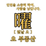 요부동산중개사사무소 2026년 기업정보 | 직원수, 근무환경, 복리후생 등 - 사람인 요부동산중개사사무소 2026년 기업정보 | 직원수, 매출액... 