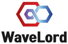 웨이브로드(주) 2024년 재무정보 | 매출액 30억 1,268만원 영업이익... 사람인 웨이브로드(주) 2024년 재무정보 | 매출액  30억 1,268만원... 