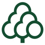 포레스트소프트(주) 2026년 기업정보 | 직원수, 근무환경, 복리후생 등 - 사람인 포레스트소프트(주) 2026년 기업정보 | 직원수, 매출액... 