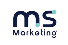 [주식회사엠에스마케팅] 온라인마케팅 정직원 채용 - 사람인