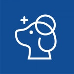 [뉴로동물의료센터24시] 센텀동물메디컬센터 수의테크니션 모집(오전,오후,야간 3교대) - 사람인