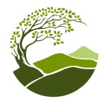 산림엔지니어링백림 | 거산산림엔지니어링 2020년 재무정보 | 매출액 4억 229만원 영업이익, 자본금, 공시정보 등 - 사람인 거산산림엔지니어링 2020년 재무정보...