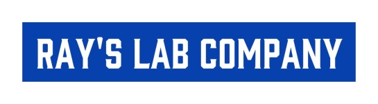 주식회사레이즈랩컴퍼니 직무리포트 | 2026년 합격전략, 역량체크, 멘토링 등 - 사람인